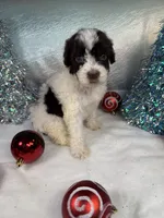 processed/58d2e4b3-e2a1-4ec4-b1e7-ae810338d2cb/listing/de6a1963-c0b0-4390-8601-82fcc3b09d38/81d7d024-47dd-4d97-b61a-539b3f7680a2