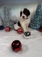 processed/58d2e4b3-e2a1-4ec4-b1e7-ae810338d2cb/listing/de6a1963-c0b0-4390-8601-82fcc3b09d38/895a41f1-5119-419d-b77f-0ebf8822af43