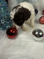 processed/58d2e4b3-e2a1-4ec4-b1e7-ae810338d2cb/listing/de6a1963-c0b0-4390-8601-82fcc3b09d38/b96415ba-904f-4420-97f2-21029dfa8d89