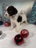 processed/58d2e4b3-e2a1-4ec4-b1e7-ae810338d2cb/listing/de6a1963-c0b0-4390-8601-82fcc3b09d38/dfaf1b29-bf07-4941-bc65-6d838ec7ecf2