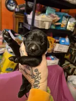 processed/58df7566-86b0-400f-88f7-c5fb47185bf7/listing/36b8bede-569c-4133-96a0-0186df85c780/e7f0a555-8f44-448c-9749-3bee6bf5edf9