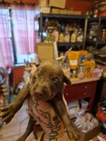 processed/58df7566-86b0-400f-88f7-c5fb47185bf7/listing/59cce02b-ba61-497c-9ab8-d0a10ab7dda1/d8630148-26e0-493a-a35a-47ac94605472