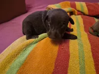 processed/58df7566-86b0-400f-88f7-c5fb47185bf7/listing/5bc7f776-88f4-4cae-844e-862f197f62bc/19842bcb-11d3-456d-8bff-21bf0e81aa9e