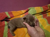 processed/58df7566-86b0-400f-88f7-c5fb47185bf7/listing/63189326-85d0-48cd-80cd-99cd327dedd1/7cb73b4c-568d-4c01-a2dc-c00749f9e589