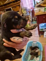 processed/58df7566-86b0-400f-88f7-c5fb47185bf7/listing/cf4e073e-f81e-419e-8f82-cbe4e99d6ea4/c2b6b283-5fe3-4f0d-a0f2-18275d4dc7f4