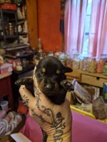 processed/58df7566-86b0-400f-88f7-c5fb47185bf7/listing/cf4e073e-f81e-419e-8f82-cbe4e99d6ea4/d07afc50-7ecc-46ea-9dcc-120dd7b6cf99