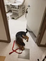 processed/58e467d9-e8bc-4c11-bed2-45cbba554c88/facility/1aa8ae1d-4004-4aa3-a949-bb0493d0faa1