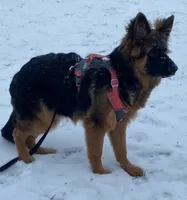 processed/58e467d9-e8bc-4c11-bed2-45cbba554c88/facility/6285ed55-dcea-4247-9a49-526c04acc98b