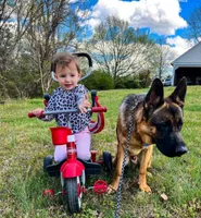 processed/58e467d9-e8bc-4c11-bed2-45cbba554c88/facility/637b720a-025c-4cee-9db1-ebc53ed8a587