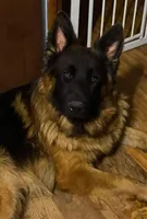 processed/58e467d9-e8bc-4c11-bed2-45cbba554c88/facility/a5b5c4c6-1b85-40dd-a64a-515a7630b569