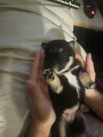 processed/58ee5dea-56ef-427d-bbb8-c3d4282de0ec/listing/553cc16a-3bdd-4b4a-9c29-0644347caaed/bf4cfd6c-b168-449f-aecb-cd494475e2b8