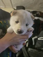 processed/58ee5dea-56ef-427d-bbb8-c3d4282de0ec/listing/e6d54a96-dfe3-4f85-817a-4d024fbd60d0/52f505e3-41bb-49ed-bc3d-1e5de92d8c87