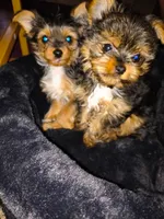 processed/58fe37ea-e625-4d45-b2b1-c10fdbb596af/listing/4da3d009-1175-42f6-881c-7e6a1642731f/4d45220b-bfb9-43a3-91ef-80c8a9d0d14e