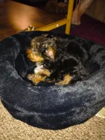 processed/58fe37ea-e625-4d45-b2b1-c10fdbb596af/listing/4da3d009-1175-42f6-881c-7e6a1642731f/5e99a2ee-061a-497f-8504-c9683d643339