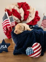 Purple Female , a female Goldendoodle for sale in Goldsboro, NC – 1 of 3