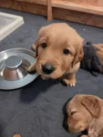 processed/590eab64-3f9d-43e0-8ab7-f161401090b1/facility/66c641f1-aae8-4e39-a2bd-f22b6f7d1c25