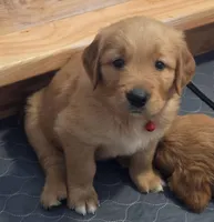 processed/590eab64-3f9d-43e0-8ab7-f161401090b1/facility/82044007-74a6-4b9d-8462-44d05c890453