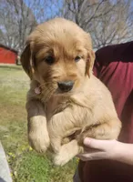 processed/590eab64-3f9d-43e0-8ab7-f161401090b1/facility/bcf31de6-fd52-434a-bc17-4ac3ba0b2131