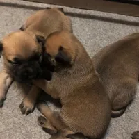 processed/5913dec5-3993-4af9-8b80-552f99509a60/facility/02ef285a-665a-437f-b1a2-c57caec2cca6