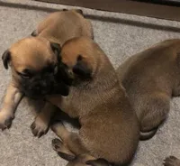 processed/5913dec5-3993-4af9-8b80-552f99509a60/facility/02ef285a-665a-437f-b1a2-c57caec2cca6