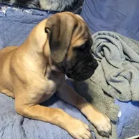 processed/5913dec5-3993-4af9-8b80-552f99509a60/facility/341acfe0-e11f-4e23-a306-75e861284c73