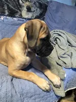 processed/5913dec5-3993-4af9-8b80-552f99509a60/facility/341acfe0-e11f-4e23-a306-75e861284c73