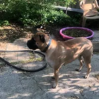 processed/5913dec5-3993-4af9-8b80-552f99509a60/facility/5dab8b79-ad97-4a3a-8fe3-13337956d429