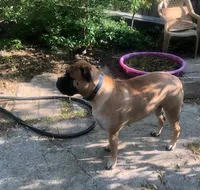 processed/5913dec5-3993-4af9-8b80-552f99509a60/facility/5dab8b79-ad97-4a3a-8fe3-13337956d429