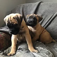 processed/5913dec5-3993-4af9-8b80-552f99509a60/facility/6c5b6e4d-8f38-4671-a393-4805bd65441d