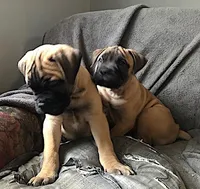 processed/5913dec5-3993-4af9-8b80-552f99509a60/facility/6c5b6e4d-8f38-4671-a393-4805bd65441d