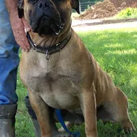 processed/5913dec5-3993-4af9-8b80-552f99509a60/facility/7aabf08b-4580-4c84-a7e6-c4ca2709fedf