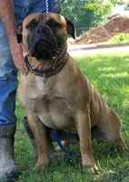 processed/5913dec5-3993-4af9-8b80-552f99509a60/facility/7aabf08b-4580-4c84-a7e6-c4ca2709fedf