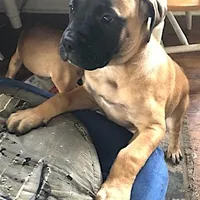 processed/5913dec5-3993-4af9-8b80-552f99509a60/facility/b6c88cc8-c647-494b-948a-1d79aece9110