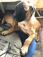 processed/5913dec5-3993-4af9-8b80-552f99509a60/facility/b6c88cc8-c647-494b-948a-1d79aece9110