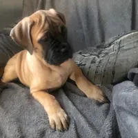 processed/5913dec5-3993-4af9-8b80-552f99509a60/facility/d55ae165-738e-4569-888b-3995372b31f4