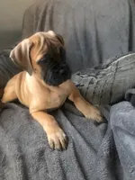 processed/5913dec5-3993-4af9-8b80-552f99509a60/facility/d55ae165-738e-4569-888b-3995372b31f4