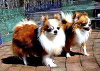 processed/591be8e2-ecb8-42fd-a765-859ed8a00e76/facility/21ec768e-2254-43e7-97ca-6378a7cdea87