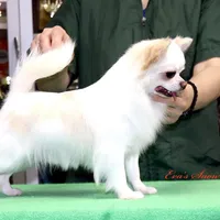 processed/591be8e2-ecb8-42fd-a765-859ed8a00e76/facility/23cd11bb-cca4-439e-866c-f1e7e0763f16