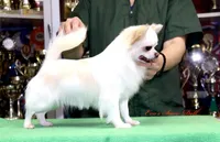 processed/591be8e2-ecb8-42fd-a765-859ed8a00e76/facility/23cd11bb-cca4-439e-866c-f1e7e0763f16