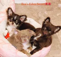 processed/591be8e2-ecb8-42fd-a765-859ed8a00e76/facility/283d4fd8-62c0-4c6d-915a-f3dac40946a2