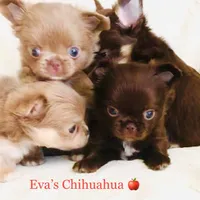 processed/591be8e2-ecb8-42fd-a765-859ed8a00e76/facility/3bd1a5d5-d657-41b2-b23a-1a9e8fceb7d0