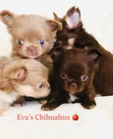 processed/591be8e2-ecb8-42fd-a765-859ed8a00e76/facility/3bd1a5d5-d657-41b2-b23a-1a9e8fceb7d0