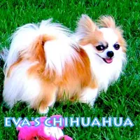 processed/591be8e2-ecb8-42fd-a765-859ed8a00e76/facility/401f04a3-7b41-49b6-bb56-1329a15ddbe5