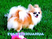 processed/591be8e2-ecb8-42fd-a765-859ed8a00e76/facility/401f04a3-7b41-49b6-bb56-1329a15ddbe5