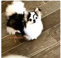 processed/591be8e2-ecb8-42fd-a765-859ed8a00e76/facility/5db9e5ca-5261-4152-b557-d4c3ed76f5cd