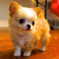 processed/591be8e2-ecb8-42fd-a765-859ed8a00e76/facility/980d0295-3d1f-4d8d-9dc9-ffc1e269bfed