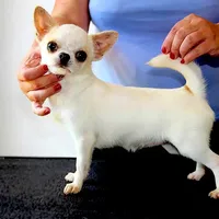 processed/591be8e2-ecb8-42fd-a765-859ed8a00e76/facility/9ab48486-4428-4cc9-bc6f-88f50049b6e0