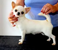 processed/591be8e2-ecb8-42fd-a765-859ed8a00e76/facility/9ab48486-4428-4cc9-bc6f-88f50049b6e0