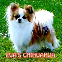 processed/591be8e2-ecb8-42fd-a765-859ed8a00e76/facility/fe298e2a-9060-41dc-b1d2-a618c241463d