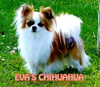 processed/591be8e2-ecb8-42fd-a765-859ed8a00e76/facility/fe298e2a-9060-41dc-b1d2-a618c241463d